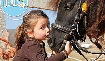 Детски празник с езда, въжена градина, батут или тролей за 10 деца в Конна база Драгалевци