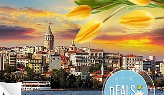 4 дни, Турция, Истанбул, Фестивал на лалето: 2 нощувки, закуски, транспорт, Дидона Тур