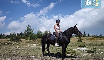 ДВА часа коннен преход - конна езда/ разходка с кон за начинаещи с инструктор в полите на Родопите от Конна база "Стела"