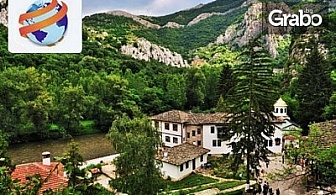 Еднодневна екскурзия до Враца, пещерата Леденика и Черепишки манастир