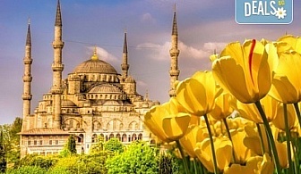 Екскурзия за Фестивала на лалето в Истанбул през април! 2 нощувки със закуски, транспорт, посещение на парка Емирган, Виаленд и Мол Виаленд!