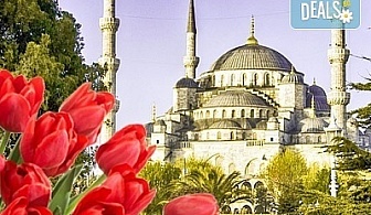 Екскурзия до Истанбул за Фестивала на лалето! 4 дни, 2 нощувки с 2 закуски, транспорт и екскурзоводско обслужване!