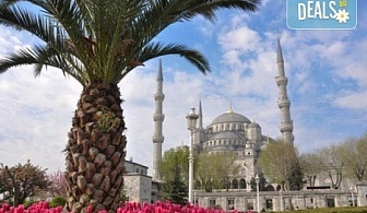 Екскурзия през април до Истанбул за приказния Фестивал на лалето! 2 нощувки със закуски във Vatan Asur 4*, транспорт и посещение на Одрин
