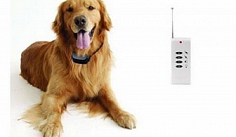 Електронен нашийник за дресура на куче за 38 лв., вместо 70 лв. с 46% отстъпка от онлайн www.albo-bg.info!