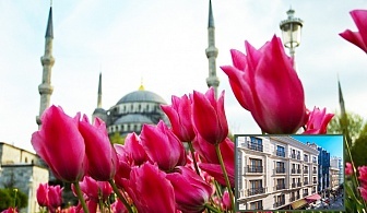  Фестивала на лалето в Истанбул! Транспорт + 2 нощувки със закуски на човек в хотел 3* или 4* + посещение на ,, Църквата на първо число&quot; от ТА Юбим Травел 