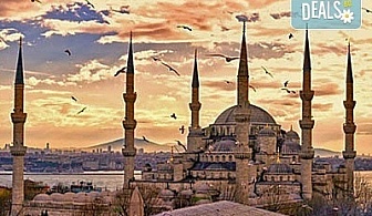 Гореща оферта за студените дни! Истанбул, 2 нощувки със закуски в хотел 2* или 3*, транспорт, екскурзовод,с Караджъ Турс