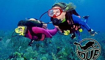 Готови ли сте за Подводно Приключение: 40 минути ГМУРКАНЕ в акваторията на Созопол от Водолазен център DUE само за 50 лв.