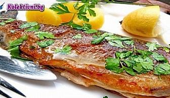 Изискано и вкусно! Възползвайте се с половинката си от невероятното ни предложение - Салата Фреш - 2 бр. + 2 бр. Пъстърва на плоча с гарнитури билкови картофи + Бутилка бяло вино Мараш 0.750л. само за 19.90лв. от Пица - Ресторант BASILICO!