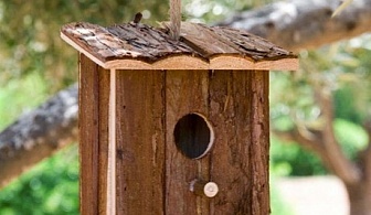 Къща за птици Trunk Pet Prior