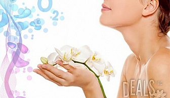 Кислородна ароматерапия, масаж, оформяне на вежди и подарък в салон Orchid за 25лв