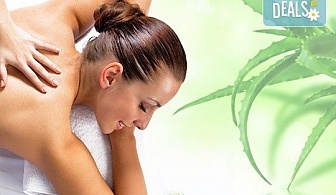 Класически, арома или релаксиращ масаж с жасмин, лайка, алое или макадамия в СПА център Pro Therapy!