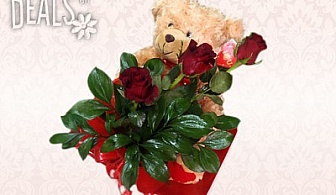 Луксозна играчка - мечок от Amek Toys в + рози или хризантеми на цени от 14.80лв