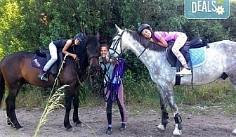 45-минутен урок по конна езда за начинаещи или за напреднали на манеж от Езда София в конна база Хан Аспарух!