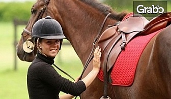 30-минутен урок по конна езда с треньор, за начинаещи или напреднали, с опция на закрито