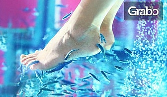 10 минути Fish SPA педикюр за нежни крачета