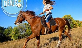 30-минутно индивидуално обучение по конна езда на манеж, Езда София