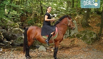 Обичате ли конете? Конна езда от Конна база "Св. Иван Рилски" на чист въздух във Владая