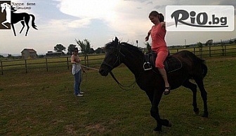 Петдневно обучение по конна езда с инструктор в конна база Ласкар само за 85лв, от VitoshaFUN! Открийте магията на общуването с коня