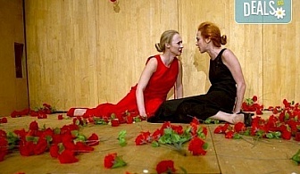 Пиесата за любовта и живота! Гледайте ''Лив Щайн'' в МГТ ''Зад канала'' на 22-ри февруари (понеделник)