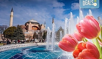 Приключения на два континента за Фестивала на лалето - Истанбул! 2 нощувки, закуски, транспорт и водач от Молина Травел!