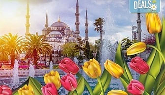 Ранни записвания за Фестивала на лалето в Истанбул, Турция през април! 2 нощувки със закуски, транспорт и водач!