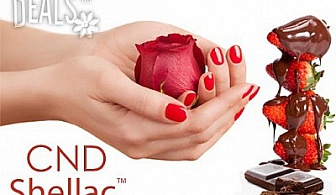 Шоколадова SPA терапия и маникюр с Shellac CND+2 декорации за 14.80лв в Салон Didi Fashion