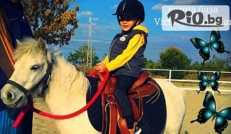 Урок по конна езда или разходка (30 - 40 минути), от Конна база Victory Equestrian в Пловдив