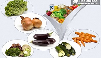 Вега тест на 240 храни и субстанции от Био Консулт 