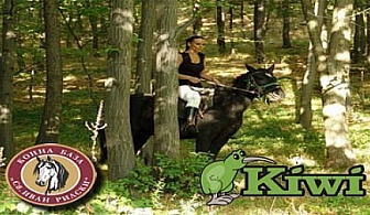 Всеки УИКЕНД: Конна езда за ученици и студенти на Витоша от Конна база Св. Иван Рилски на ТОП ЦЕНИ!
